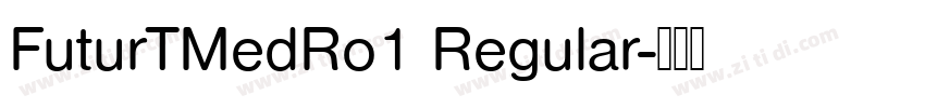 FuturTMedRo1 Regular字体转换 FuturTMedRo1 Regular字体转换